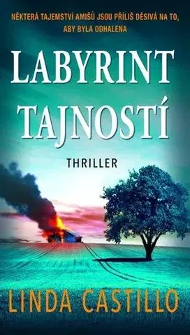 Detektívky, trilery, horory Labyrint tajností - Linda Castillo