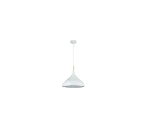 Svietidlá  Luster na lanku MIKO 1xE27/60W/230V pr. 32 cm biela ZS MIKO WHITE