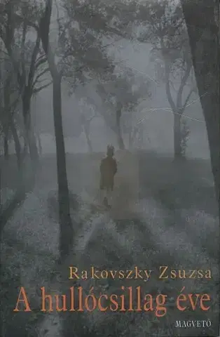 Svetová beletria A hullócsillag éve - Zsuzsa Rakovszky