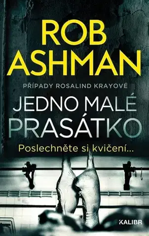 Detektívky, trilery, horory Jedno malé prasátko - Rob Ashman,Markéta Polochová