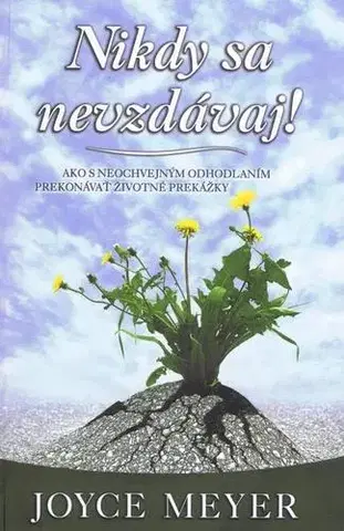 Svetová beletria Nikdy sa nevzdávaj! - Joyce Meyer