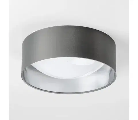 Svietidlá  LED stropné svietidlo LED/12W/230V, priemer 32 cm, sivé/strieborné 9A22018
