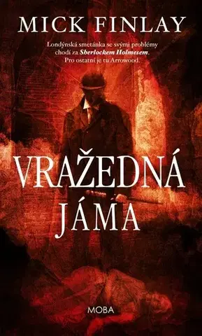 Detektívky, trilery, horory Vražedná jáma - Mick Finlay