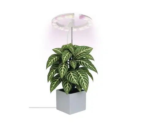 Lampy  LED Stmievateľná interiérová lampa na pestovanie rastlín GROW LED/8W/5V Z7902