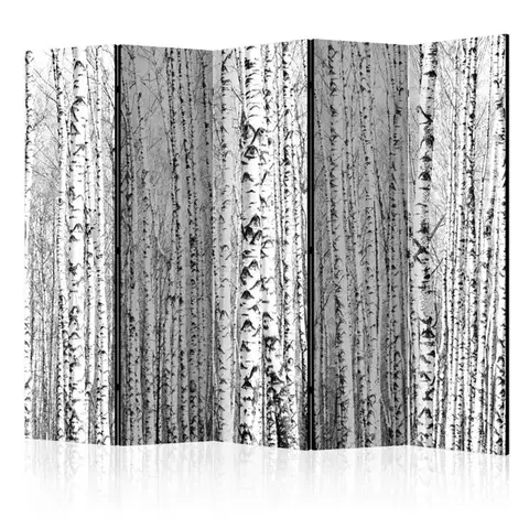 Paravány Paraván Birch forest Dekorhome