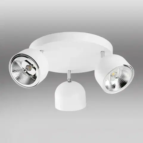 Lampy do obývačky Stropné bodové svietidlo Altea 6514 White LS3