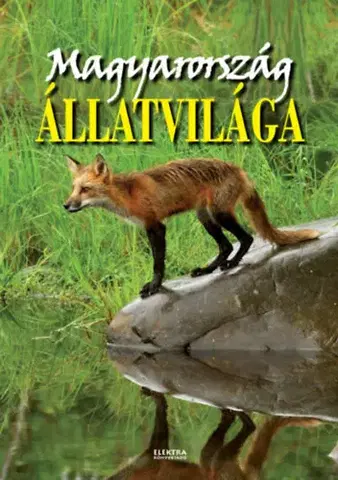 Biológia, fauna a flóra Magyarország állatvilága - István Bernáth