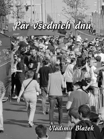 Novely, poviedky, antológie Pár všedních dnů - Vladimír Blažek