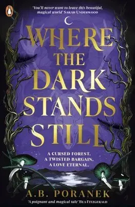 Fantasy, upíri Where the Dark Stands Still - A.B. Poranek