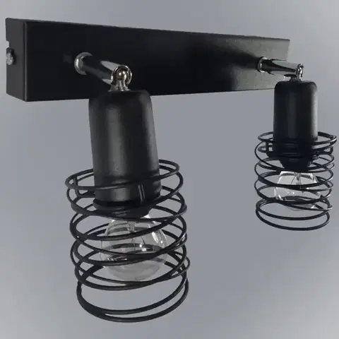 Lampy do obývačky Lampa Mini Spring 2806/Z-A-2 LS2