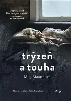 Svetová beletria Trýzeň a touha - Meg Mason