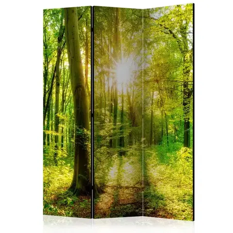 Paravány Paraván Forest Rays Dekorhome