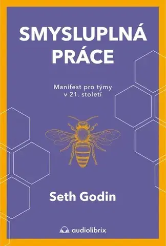 Manažment Smysluplná práce - Seth Godin,Jolana Navrátilová