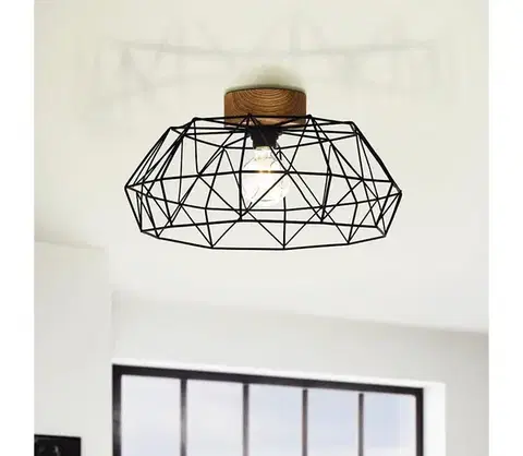 Svietidlá Eglo 44088 - Stropné svietidlo PADSTOW 1xE27/60W/230V 44088