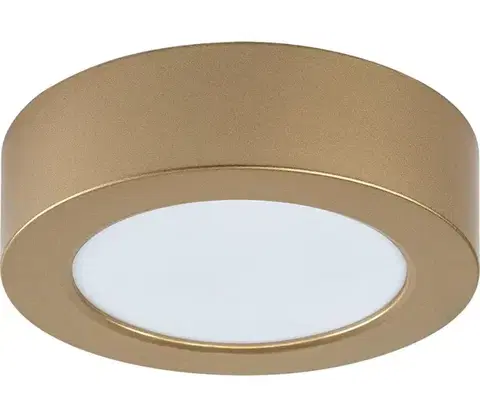Svietidlá Rabalux 75077 - LED kúpeľňové stropné svietidlo SHAUN PLUS, 7 W/230 V, priemer 12 cm, IP44, zlaté 75077