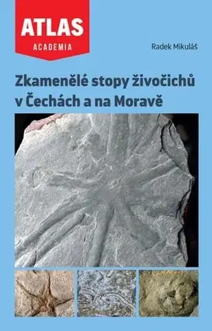 Geografia, geológia, mineralógia Zkamenělé stopy živočichů v Čechách a na Moravě - Radek Mikuláš