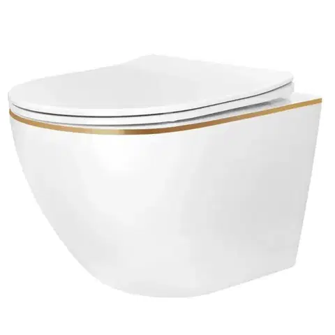 Sanitárna keramika Závesná WC misa Carlo Ini Tornado Gold Edge