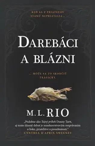 Detektívky, trilery, horory Darebáci a blázni - M.L. Rio