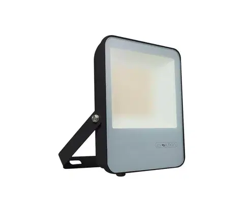 LED osvetlenie  LED Reflektor LED/50W/230V 6400K IP65 čierna 20452