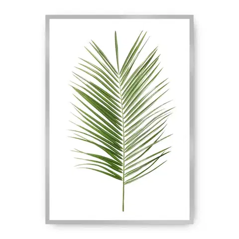 Obrazy Plagát Palm Leaf Green