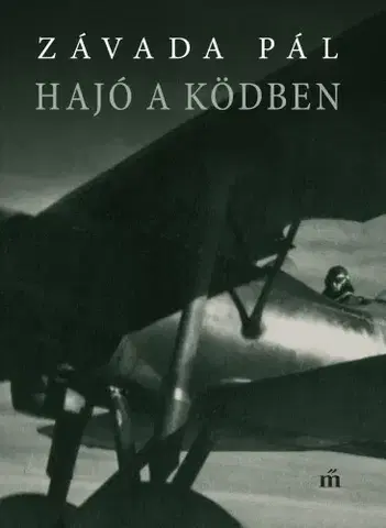 Svetová beletria Hajó a ködben - Pál Závada