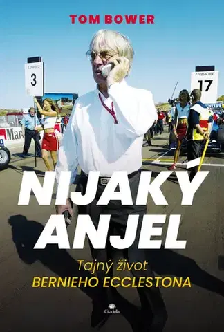 Romantická beletria Nijaký anjel - Tom Bower