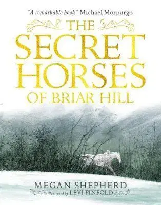 V cudzom jazyku The Secret Horses of Briar Hill - Megan Shepherd