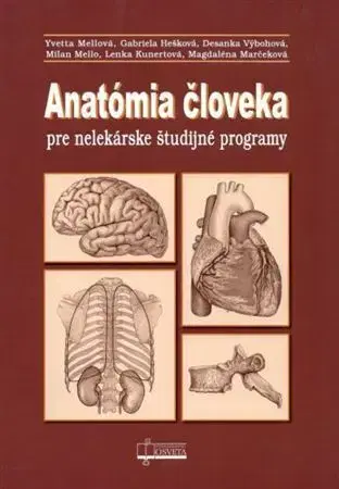 Anatómia Anatómia človeka pre nelekárske študijné odbory, 3.vydanie - Kolektív autorov