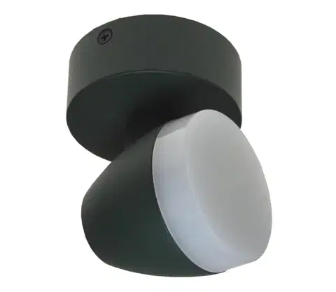 Svietidlá  LED Stropné svietidlo SURMUR LED/6W/230V zelená SKU013075