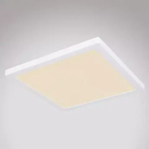 Lampy do obývačky Stropnica 12380-24W LED 24W biely PL
