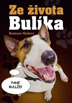 Humor a satira Ze života Bulíka - Romana Skálová