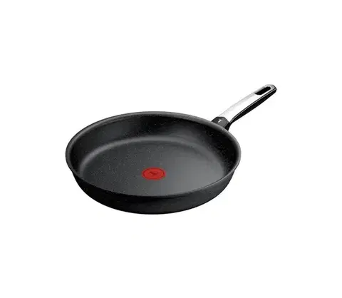 Panvice a hrnce Tefal - Panvica EXPERTISE 30 cm G3330743