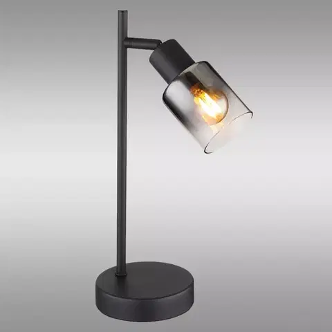 Lampy do obývačky Lampa Hubertus 54308T LB1
