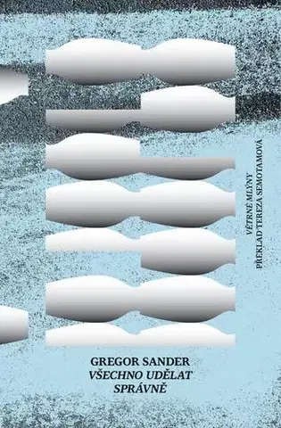 Svetová beletria Všechno udělat správně - Gregor Sander