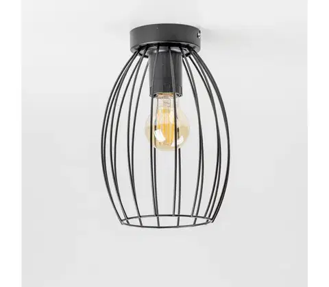 Svietidlá  LED Stropné svietidlo 1xE27/6,5W/230V čierne 9A21994