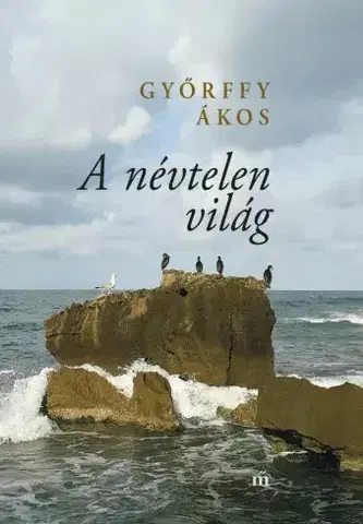 Svetová beletria A névtelen világ - Ákos Győrffy