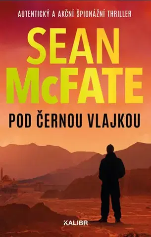 Detektívky, trilery, horory Pod černou vlajkou - Sean McFate,Milan Lžička