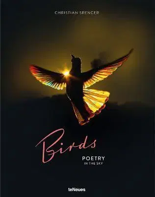 Fotografia Birds - Christian Spencer