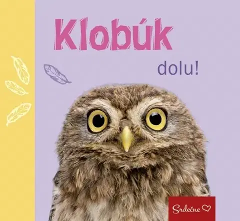 Citáty, výroky, aforizmy, príslovia, porekadlá Klobúk dolu