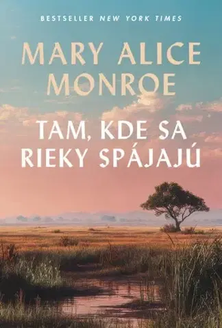 Svetová beletria Tam, kde sa rieky spájajú - Mary Alice Monroe,Erika Ratičáková