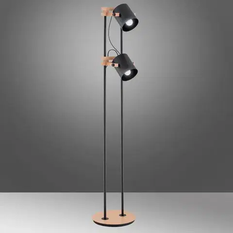 Lampy do obývačky Stojanová lampa Fortis 28639 LP2