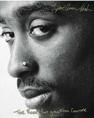 Cudzojazyčná literatúra The Rose that Grew from Concrete - Tupac Shakur