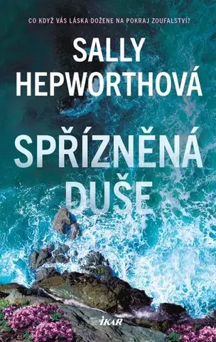 Romantická beletria Spřízněná duše - Sally Hepworthová