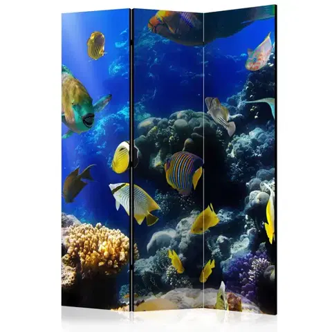 Paravány Paraván Underwater adventure Dekorhome