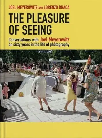 Umenie The Pleasure of Seeing - Joel Meyerowitz,Lorenzo Braca