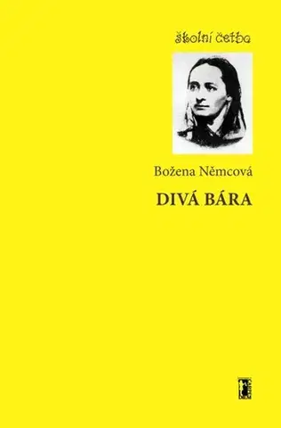 Novely, poviedky, antológie Divá bára - Božena Němcová