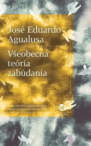 Svetová beletria Všeobecná teória zabúdania - José Eduardo Agualusa,Miroslava Petrovská