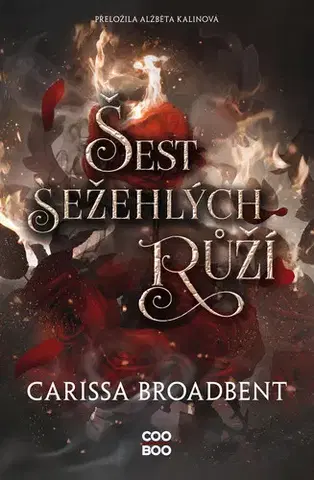 Young adults Šest sežehlých růží - Carissa Broadbent