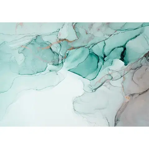 Obrazy Plátno maľba Sage Art