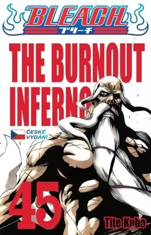Komiksy Bleach 45: The Burnout Inferno - Kubo Tite,Anna Křivánková